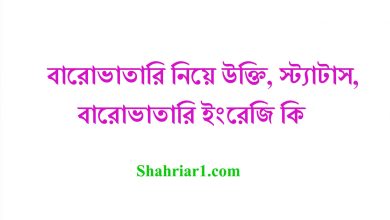 বারোভাতারি নিয়ে উক্তি, স্ট্যাটাস, বারোভাতারি ইংরেজি কি
