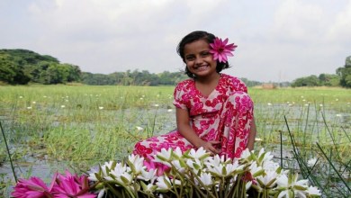 সুন্দর প্রকৃতির ছবি HD , প্রকৃতির দৃশ্য ছবি, প্রকৃতি নিয়ে ক্যাপশন