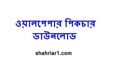 ওয়ালপেপার পিকচার ডাউনলোড