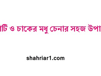 খাঁটি ও চাকের মধু চেনার সহজ উপায়