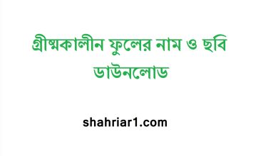 গ্রীষ্মকালীন ফুলের নাম ও ছবি ডাউনলোড
