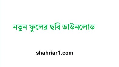 নতুন ফুলের ছবি ডাউনলোড