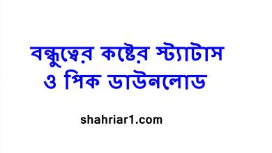 বন্ধুত্বের কষ্টের স্ট্যাটাস ও পিক ডাউনলোড