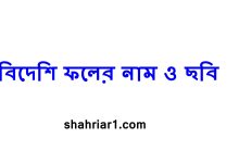 বিদেশি ফলের নাম ও ছবি
