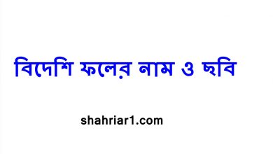 বিদেশি ফলের নাম ও ছবি