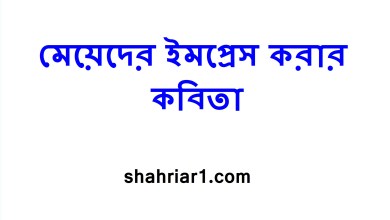 মেয়েদের ইমপ্রেস করার কবিতা
