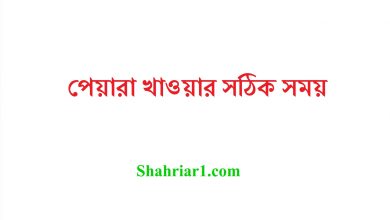 পেয়ারা খাওয়ার সঠিক সময়