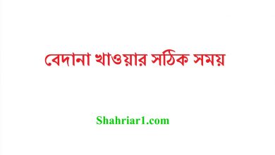বেদানা খাওয়ার সঠিক সময়