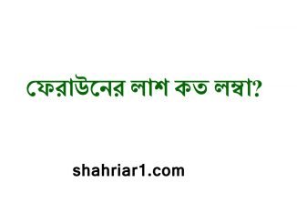 ফেরাউনের লাশ কত লম্বা? ফেরাউনের উচ্চতা কত?