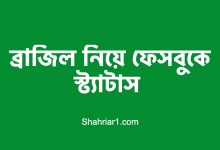 ব্রাজিল নিয়ে ফেসবুকে স্ট্যাটাস