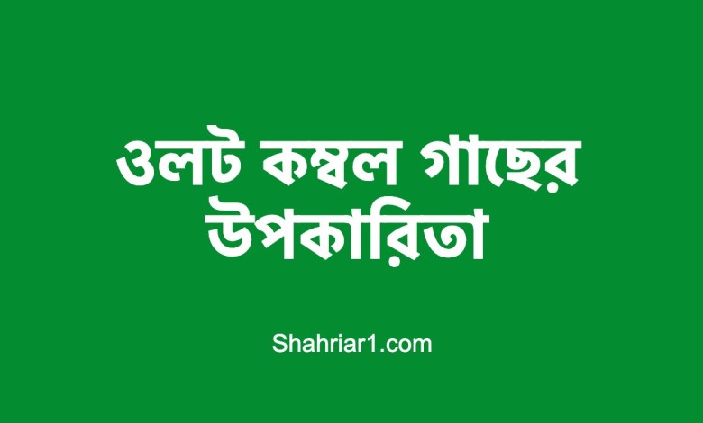ওলট কম্বল গাছের উপকারিতা