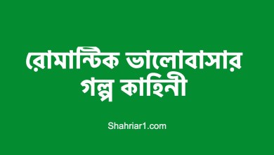 রোমান্টিক ভালোবাসার গল্প কাহিনী