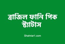 ব্রাজিল ফানি পিক স্ট্যাটাস - ব্রাজিল ট্রল পিক ডাউনলোড