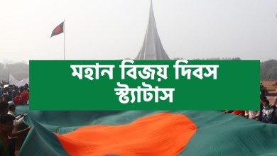 ১৬ ডিসেম্বর মহান বিজয় দিবস স্ট্যাটাস Status ক্যাপশন 2022 বিজয় দিবসের মেসেজ