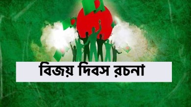 বিজয় দিবস রচনা