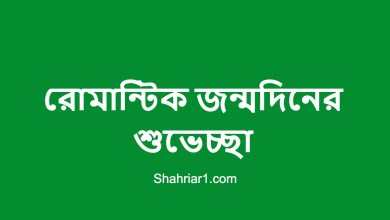 রোমান্টিক জন্মদিনের শুভেচ্ছা