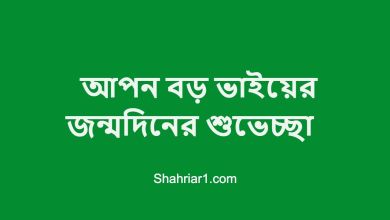 আপন বড় ভাইয়ের জন্মদিনের শুভেচ্ছা