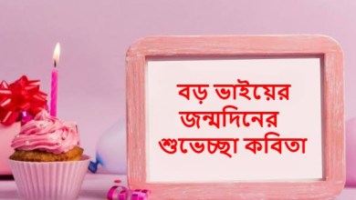 বড় ভাইয়ের জন্মদিনের শুভেচ্ছা কবিতা