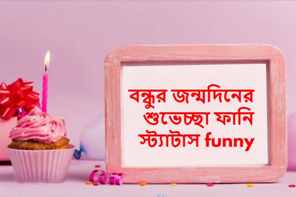 বন্ধুর জন্মদিনের শুভেচ্ছা ফানি স্ট্যাটাস funny