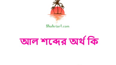 আল শব্দের অর্থ কি
