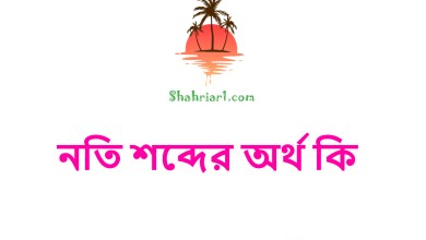 নতি শব্দের অর্থ কি