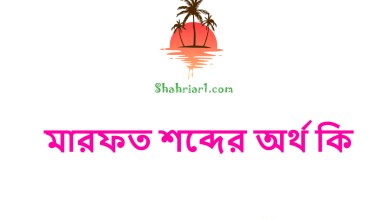 মারফত শব্দের অর্থ কি