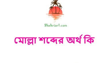 মোল্লা শব্দের অর্থ কি