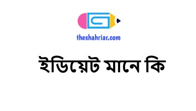 ইডিয়েট মানে কি