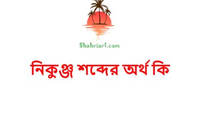 নিকুঞ্জ শব্দের অর্থ কি