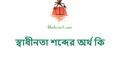 স্বাধীনতা শব্দের অর্থ কি